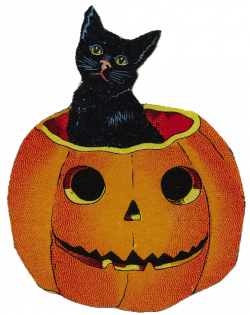 Halloween Jack O Lantern clipart - Halloween, Pumpkin, Cat ...