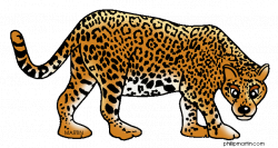 Jaguar Animal Clipart