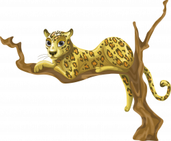 19 Cheetah clipart paw HUGE FREEBIE! Download for PowerPoint ...