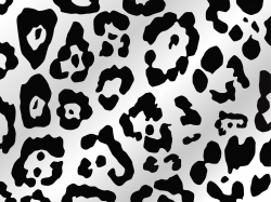 Free Black Leopard Cliparts, Download Free Clip Art, Free ...