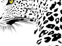 Free Jaguar Clipart, Download Free Clip Art on Owips.com