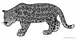 Jaguar Animal free black white clipart images clipartblack ...