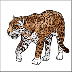 Clip Art: Big Cats: Jaguar Color 1 I abcteach.com | abcteach