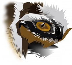 Eye Of The Tiger Clip Art at Clker.com - vector clip art online ...