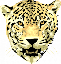 Jaguar running drawing - animalcarecollege.info