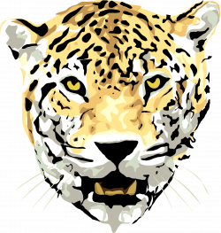 Beautiful drawing of the jaguar clipart free image