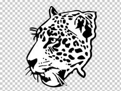 Jaguar West Florida High School Leopard Tiger Cheetah PNG ...