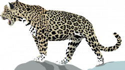 Download Free Jaguar Transparent ICON favicon | FreePNGImg