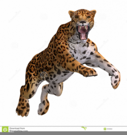 Jaguar Animal Clipart | Free Images at Clker.com - vector ...