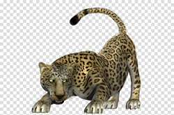 jaguar clipart Leopard Cheetah Jaguar clipart - Wildlife ...