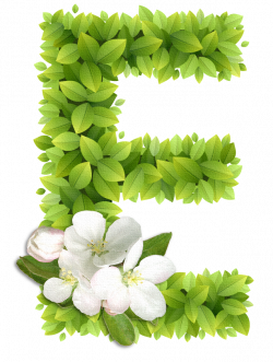 Thanks for all the interesting, beautiful E's | Nombres, Números ...