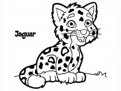 Jaguar Clipart Black And White | Free download best Jaguar ...