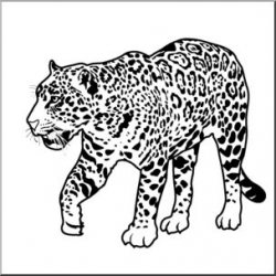 Free Jaguar Clipart Black And White, Download Free Clip Art ...