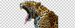Jaguar Roar PNG, Clipart, Animals, Jaguars Free PNG Download