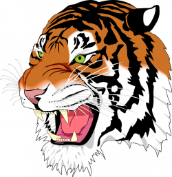 Free Image on Pixabay - Sumatran Tiger, Tiger, Man-Eater | Tiger ...