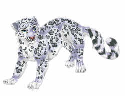 Snow leopard clipart - crazywidow.info
