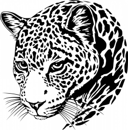 Jaguar Vector Art | SOIDERGI