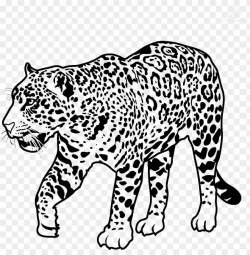 jaguar walking transparent image - jaguar clipart black and ...