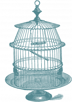 Bird Cage Clipart at GetDrawings.com | Free for personal use Bird ...