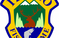 Dozens Of Felony Charges Filed Against 7 Idahoans In 2015 Elk, Deer ...