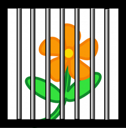 Flower Behind Bars Clip Art at Clker.com - vector clip art online ...