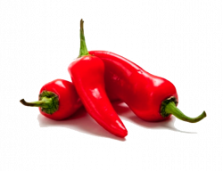 Bell pepper Jalapexf1o Chili pepper Capsaicin Food - Pepper PNG ...