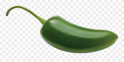 Probably The Most Famous Pepper, The Jalapeno Is Widely ...
