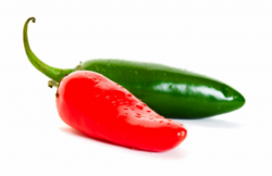 Xanadu Jalapenos Hot Pepper - Green Jalapeno Pepper Png ...