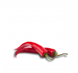 Harrybasco – The best damn garlic chilli sauce there is!