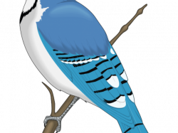 Latest Cliparts | Page 1715 | Dumielauxepices.net