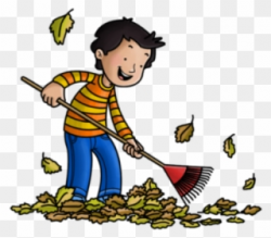 Janitor Clipart Sweeping Leave - Raking Leaves Cartoon - Png ...