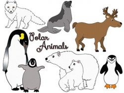 Free Cold Animals Cliparts, Download Free Clip Art, Free ...