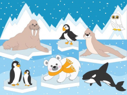 Arctic Animals Clipart - Digital Vector Arctic, Winter, Ice ...