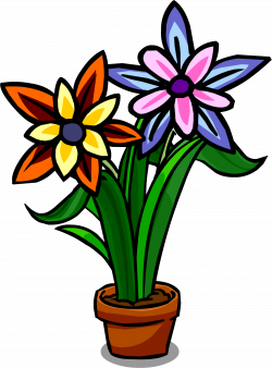 Sunset Flowers | Club Penguin Wiki | FANDOM powered by Wikia