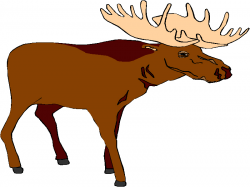 Cartoon moose clipart free clip art images image 9 - WikiClipArt