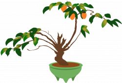 Clipart - Persimmon bonsai tree