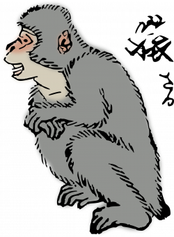 Japanese Macaque Icons PNG - Free PNG and Icons Downloads