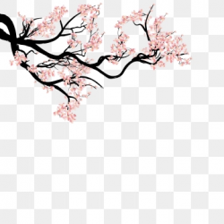 Japanese Flower Png, Vector, PSD, and Clipart With ...