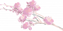 Cherry Blossom Clipart file - Free Clipart on Dumielauxepices.net