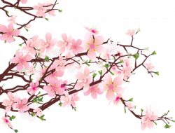 Japanese Flowers on Tree transparent PNG - StickPNG