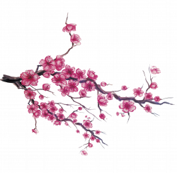 Japan Cherry blossom Download - Hand-painted Japanese cherry 1870 ...