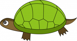 Tortoise Cliparts Free collection | Download and share Tortoise Cliparts