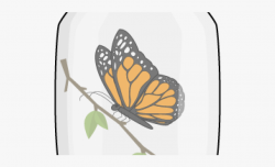 Mason Jar Clipart Bug Jar - Monarch Butterfly #134965 - Free ...