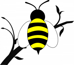 Honey Bee Over Branch Clip Art at Clker.com - vector clip art online ...