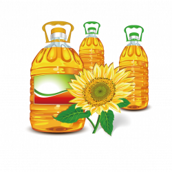 Sunflower oil Olive oil Clip art - Sunflower oil 1181*1181 ...