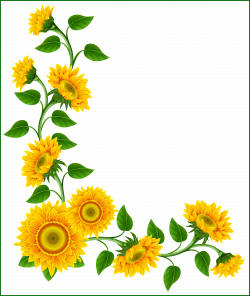 Inspiring Sunflower Border Decoration Png Clipart Image This U That ...