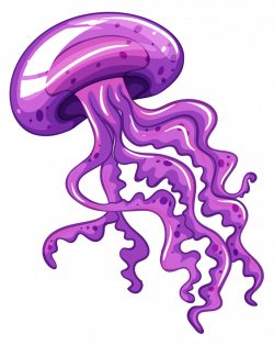 Jellyfish Royalty-free Clip art - jelly png download - 813 ...