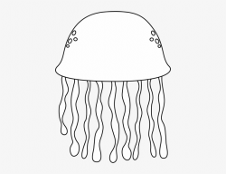 Jellyfish Jelly Fish Outline Clipart Kid #136631 - PNG ...