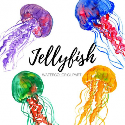 Jellyfish clipart - animal clipart - fish clipart - watercolor clipart -  underwater clipart - commercial use