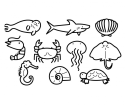 Sea Clipart, cute clipart, animal vector ,shark ,shrimp, crab, shell  ,jellyfish ,cartoon vector , digital file , icon graphic, Outline logo